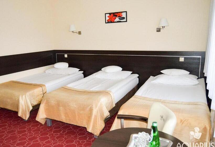 Номер Стандарт Трехместный, Aquarius Restaurant Wellness Spa