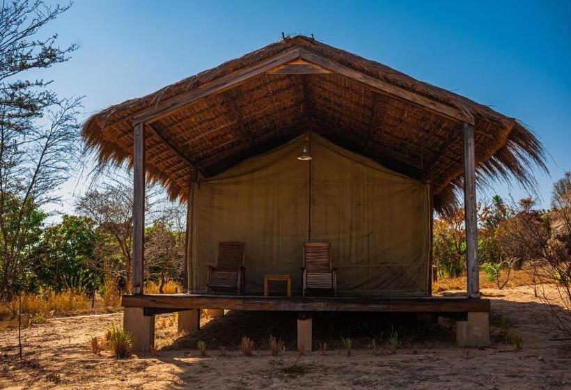 اتاق استاندارد, Satrana Lodge