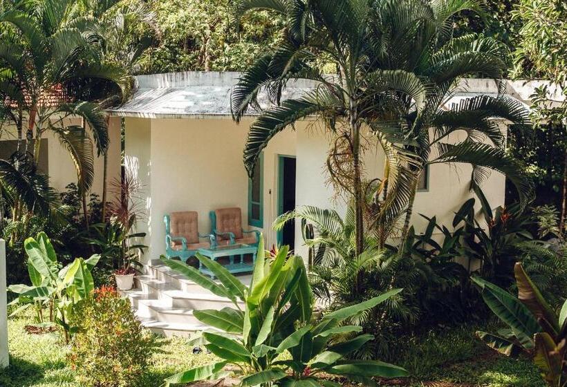 اتاق استاندارد با تخت بزرگ, Paddlecult Surf Retreat