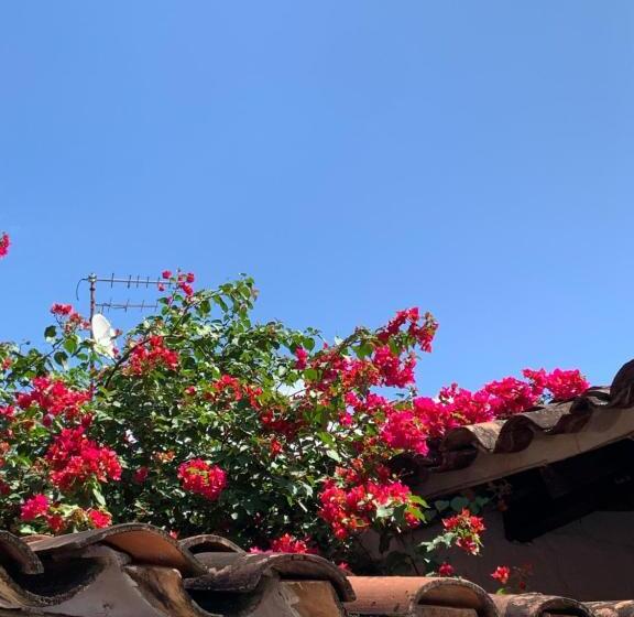 Семейный Номер, Casa Hotel Dulce Candelaria