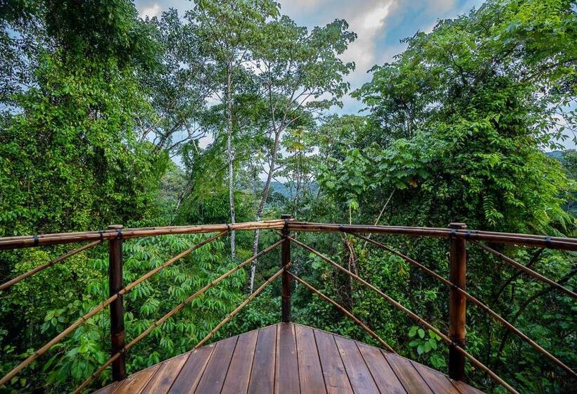 Кровать в Общей Комнате, Jungle Gayborhood   Lgbtq Boutique Hotel And Retreat