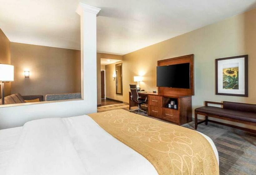 套房, Comfort Suites University Brookings