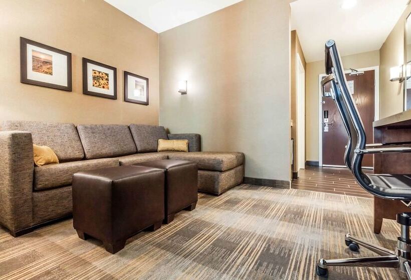 套房, Comfort Suites University Brookings