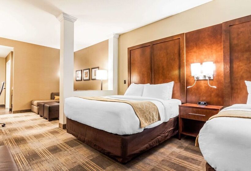套房, Comfort Suites University Brookings