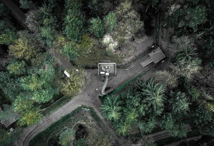Полулюкс Повышенной Комфортности, Tree Inn   Das Baumhaus