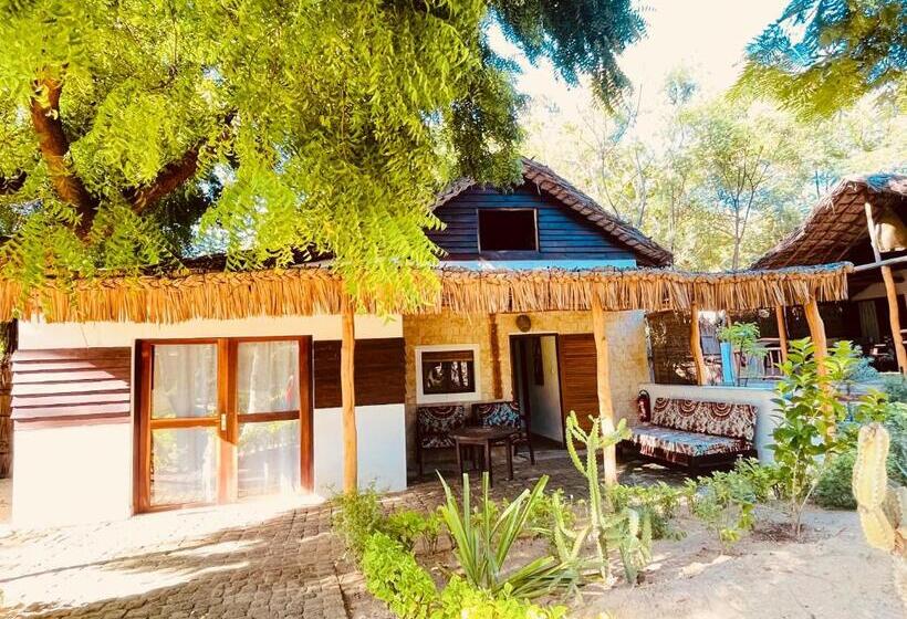 اتاق خانوادگی, Vovo Telo Lodge