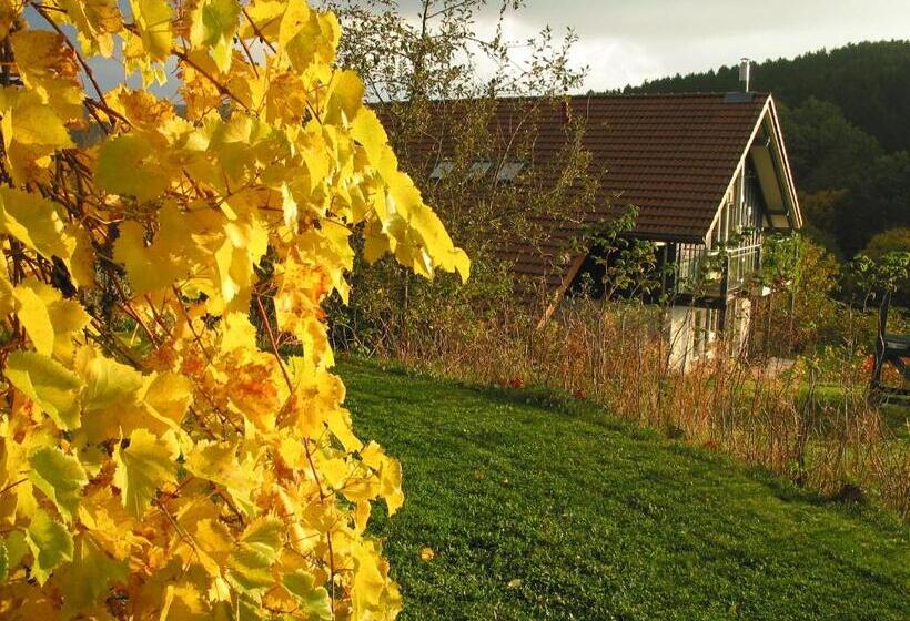 Шале 1 Спальня, Landhotel Am Rothenberg