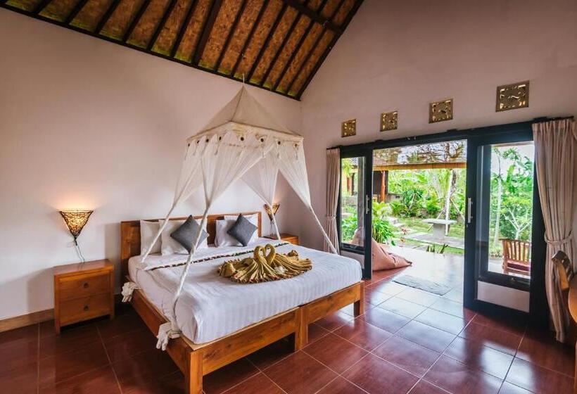 Номер Superior, Arta Nadi Villa