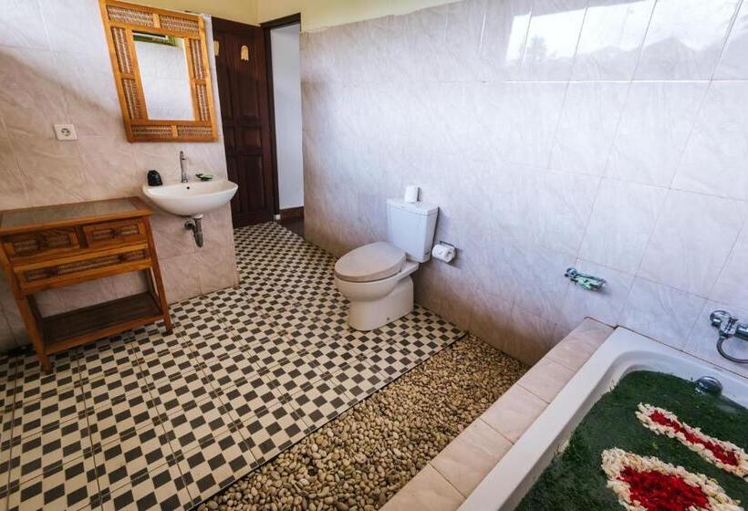 Полулюкс, Arta Nadi Villa