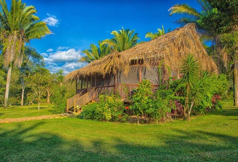 스탠다드 테라스 룸, Bocawina Rainforest Resort