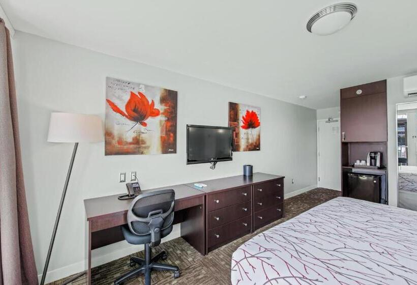스탠다드 룸 킹사이즈 침대, Casey Key Resorts  Mainland