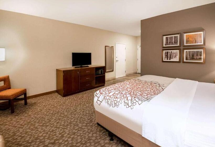 身障者適用キングサイズベッドルーム, La Quinta By Wyndham Durango
