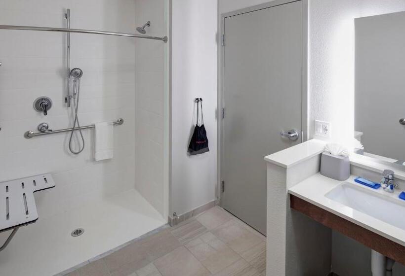 장애인을 위한 스탠다드 룸, Holiday Inn Express & Suites   Orlando At Seaworld, An Ihg