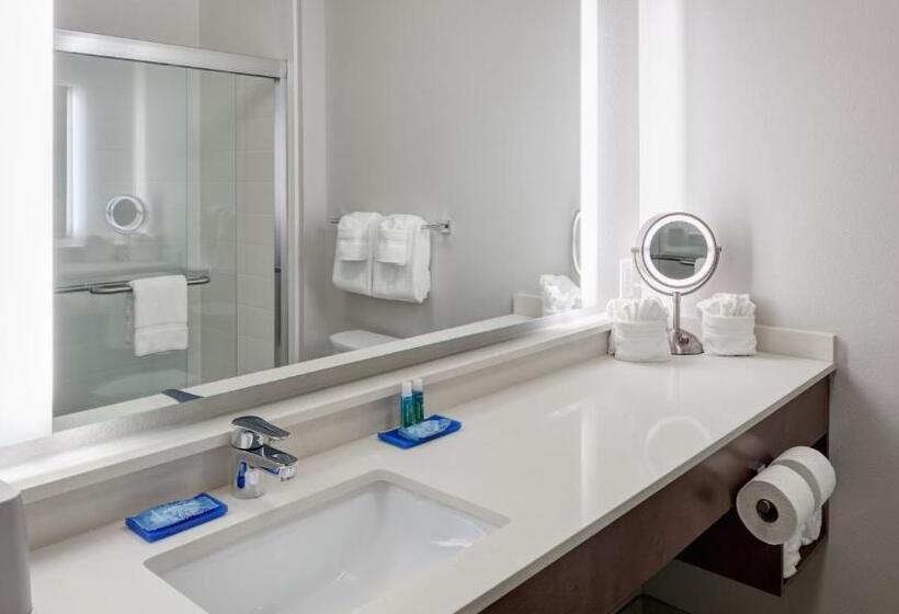 스위트 킹사이즈 침대, Holiday Inn Express & Suites   Orlando At Seaworld, An Ihg