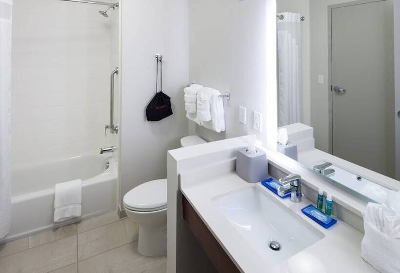 스탠다드 룸, Holiday Inn Express & Suites   Orlando At Seaworld, An Ihg