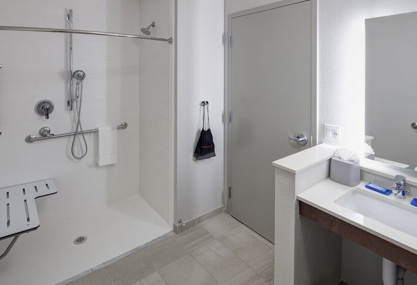 장애인을 위한 스위트, Holiday Inn Express & Suites   Orlando At Seaworld, An Ihg