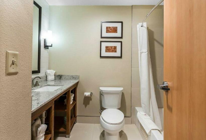 سوییت, Comfort Suites University