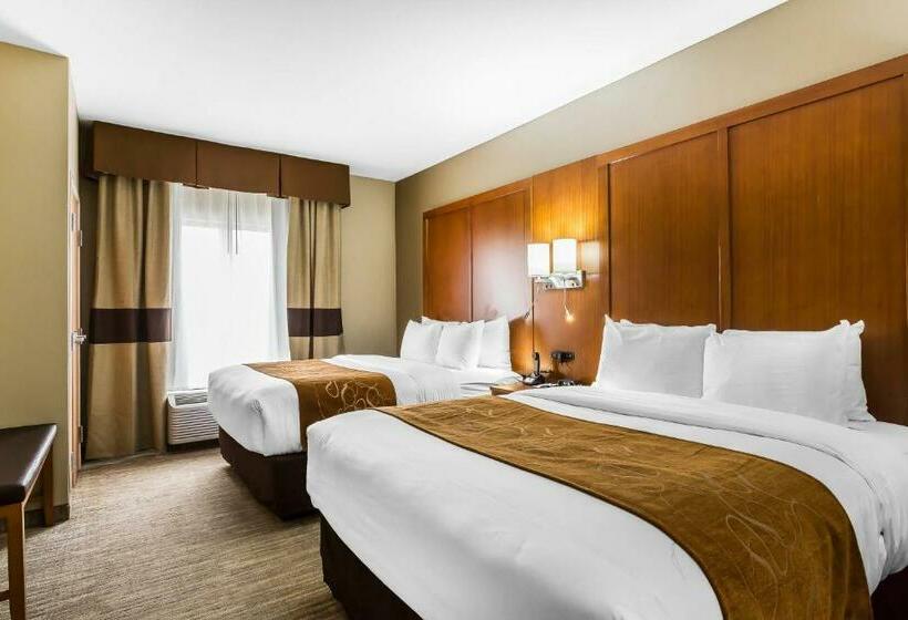 Люкс, Comfort Suites University