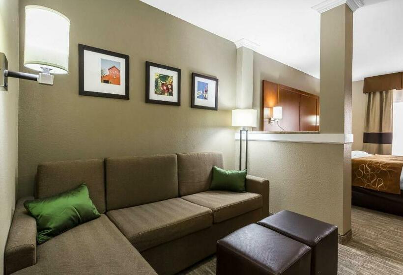 سوئیت با تخت بزرگ, Comfort Suites University