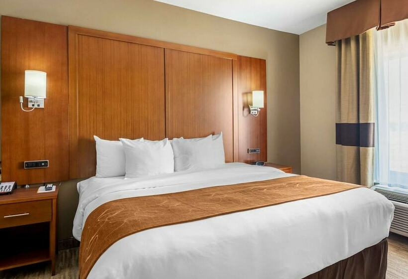 سوییت, Comfort Suites University