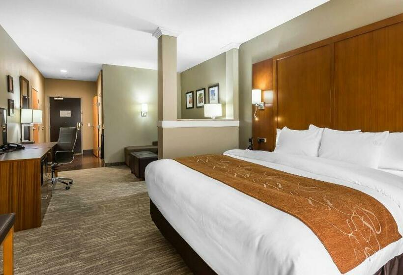 سوئیت با تخت بزرگ, Comfort Suites University