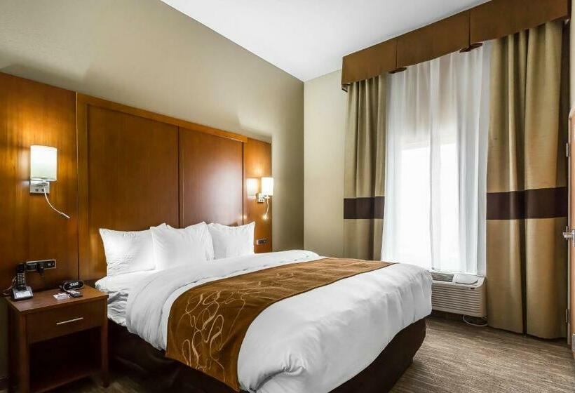 سوئیت با تخت بزرگ, Comfort Suites University