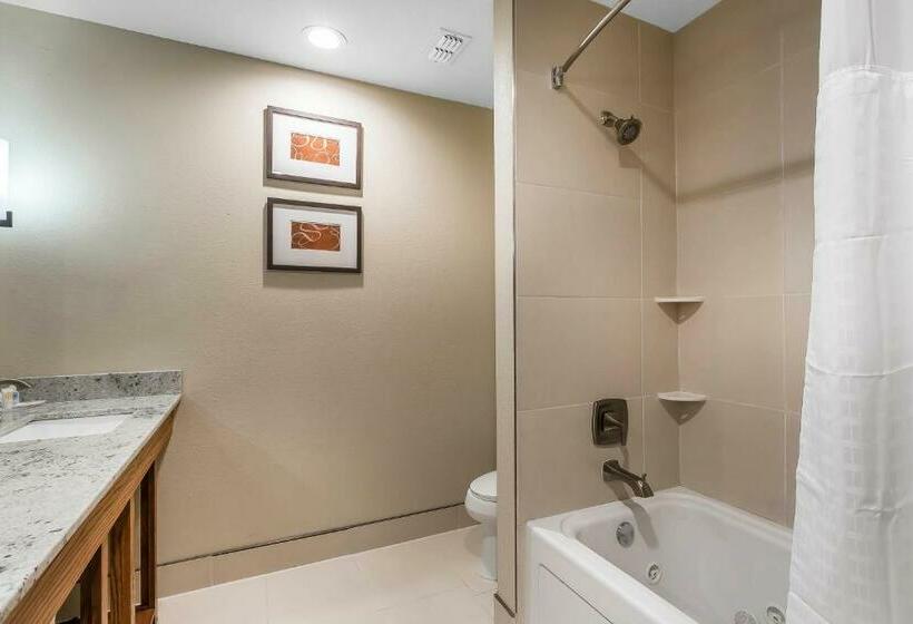 سوییت, Comfort Suites University