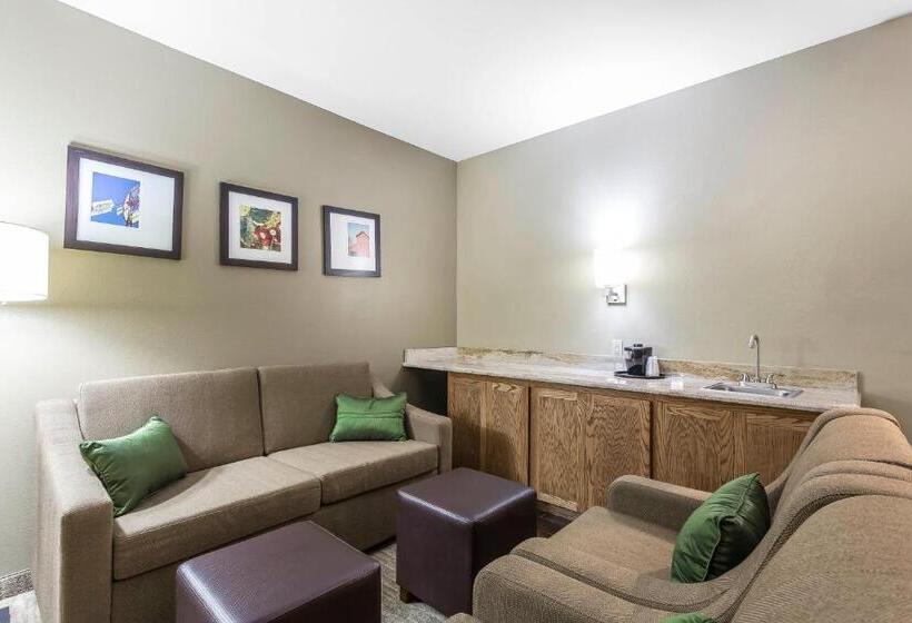 سوئیت برای معلولان, Comfort Suites University