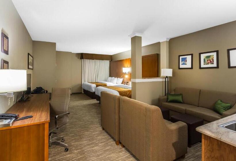 Люкс Адаптированный для Инвалидов, Comfort Suites University