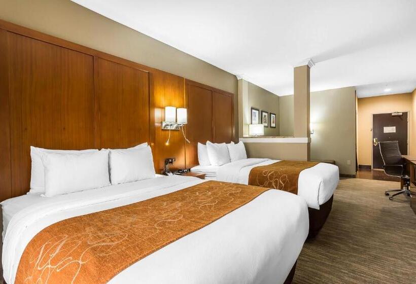 سوئیت برای معلولان, Comfort Suites University