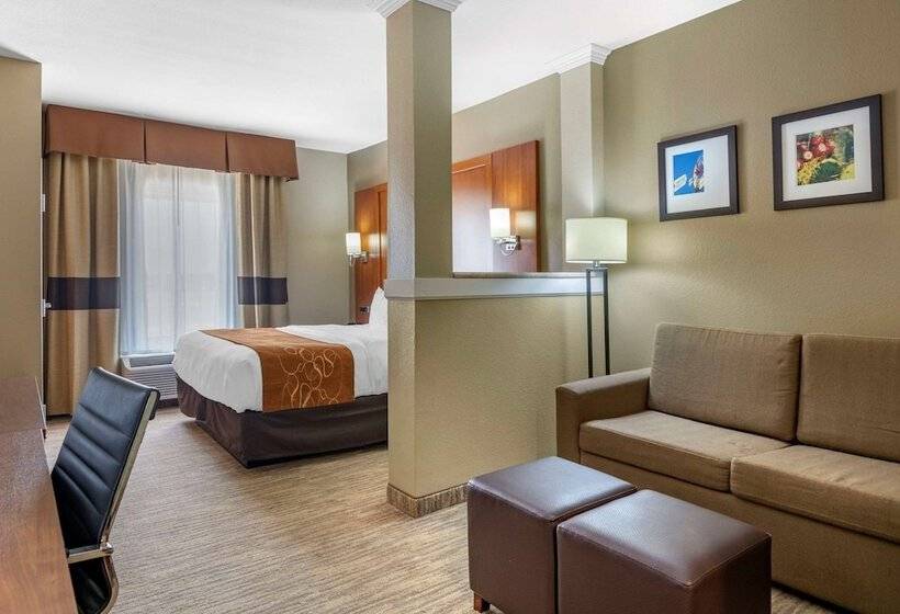سوییت, Comfort Suites University