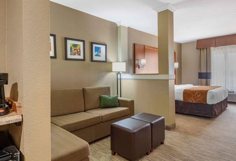 سوئیت برای معلولان, Comfort Suites University