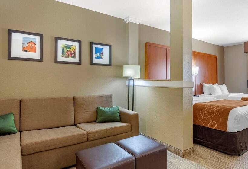 سوئیت برای معلولان, Comfort Suites University