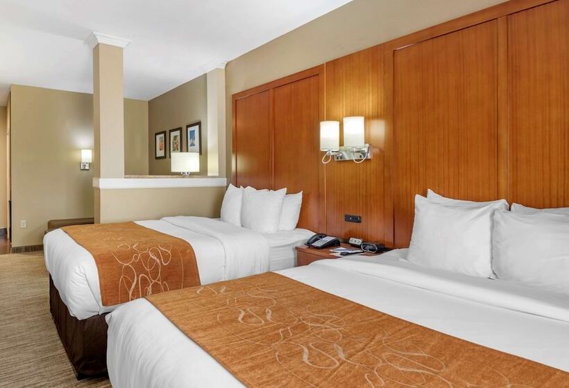 سوئیت برای معلولان, Comfort Suites University