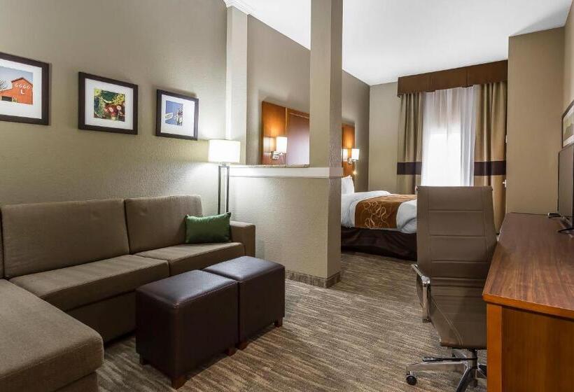 سوئیت برای معلولان, Comfort Suites University