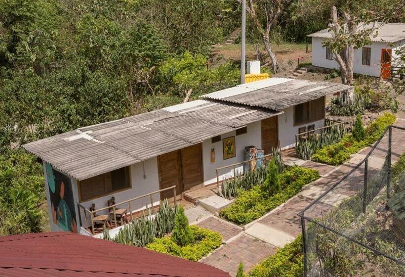 标准间, La Selva Reserva