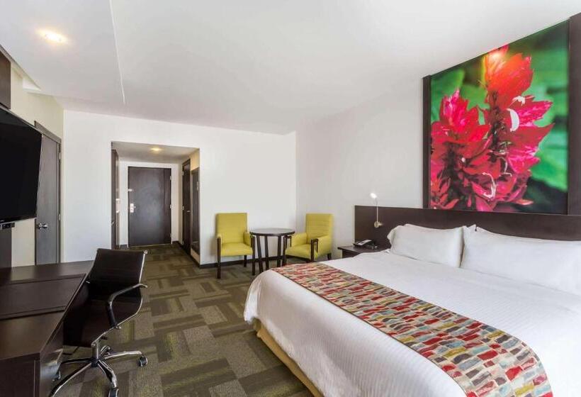스탠다드 룸 킹사이즈 침대, Wyndham Quito Airport