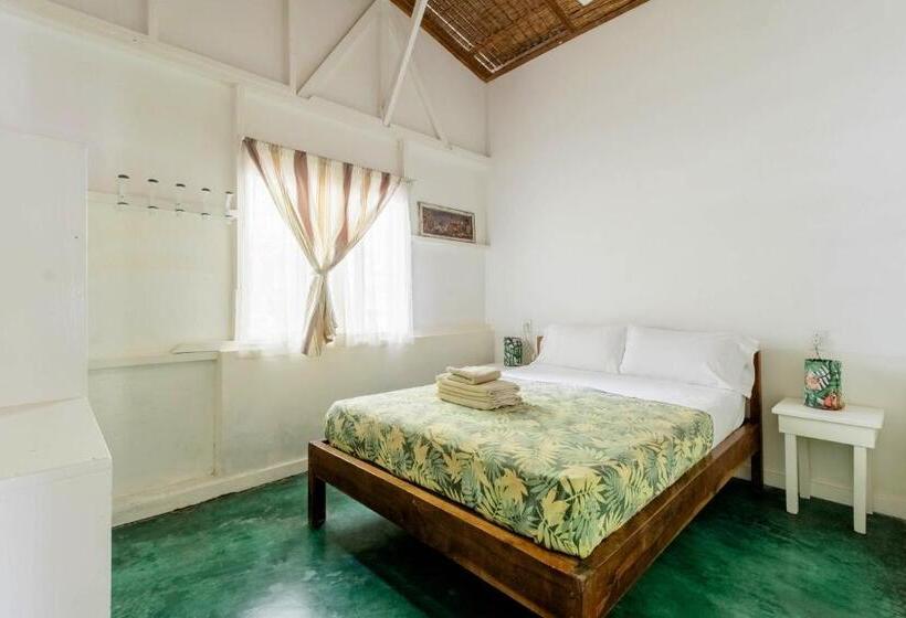 Номер Стандарт, Bajo El Arbol B&b