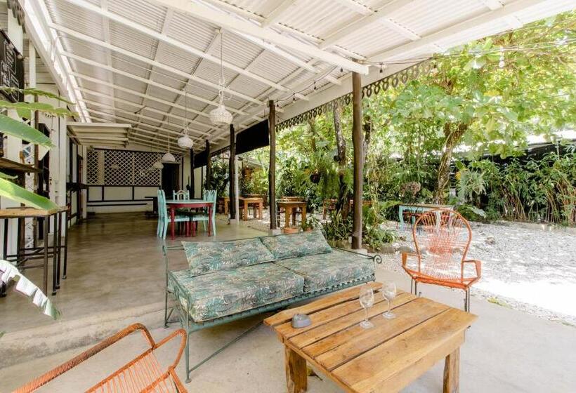 Номер Стандарт, Bajo El Arbol B&b