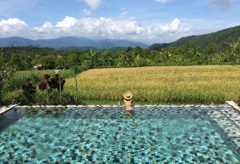 ویلای استاندارد 3 خوابه, Sanak Retreat Bali