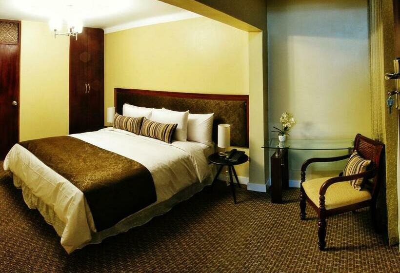 스탠다드 싱글 룸, Los Leones Hotel Boutique
