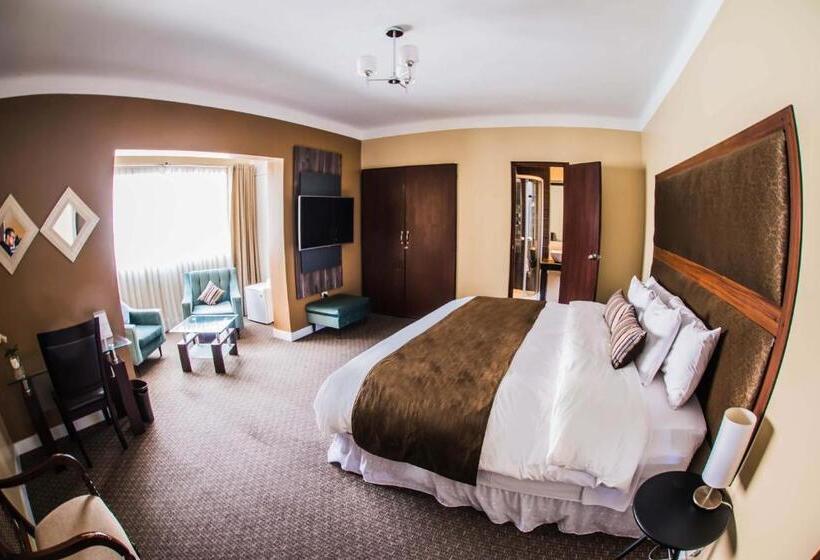 수피리어 싱글 룸, Los Leones Hotel Boutique