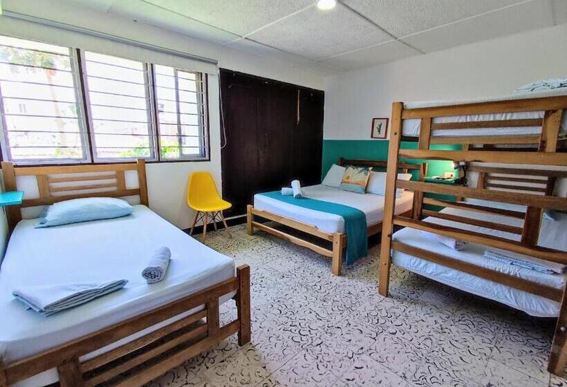 Quarto Familiar, Bona Vida