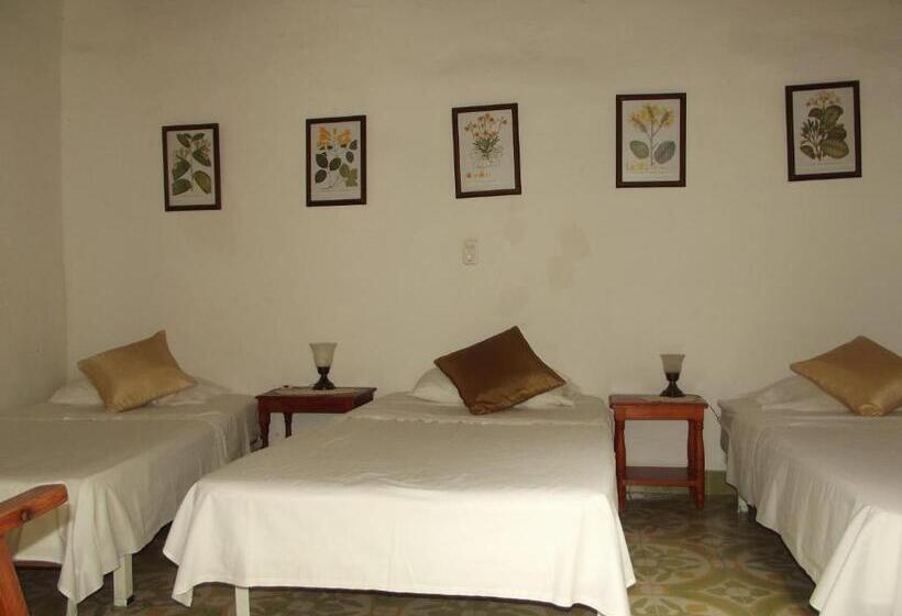 اتاق استاندارد سه نفره, Casa Belle Epoque