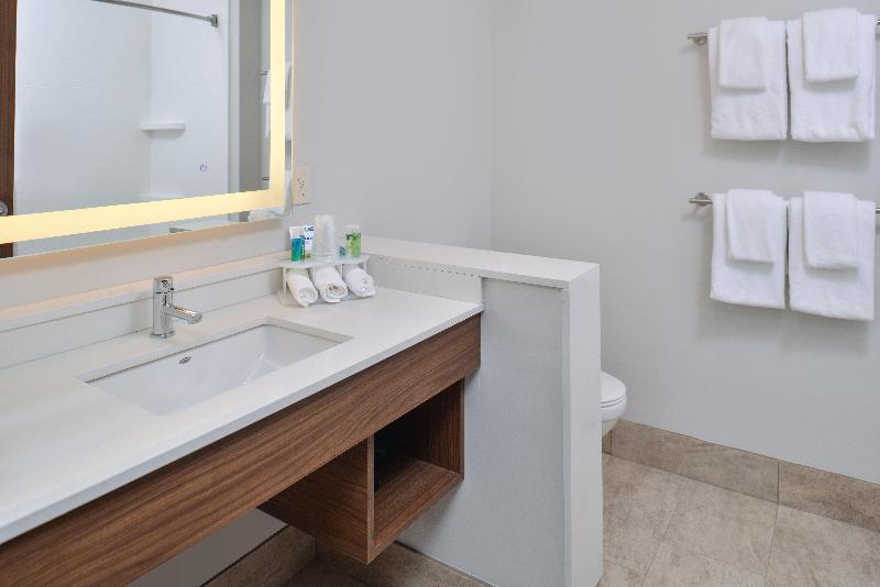 Номер Стандарт, Holiday Inn Express & Suites   Brighton South   Us 23, An Ihg