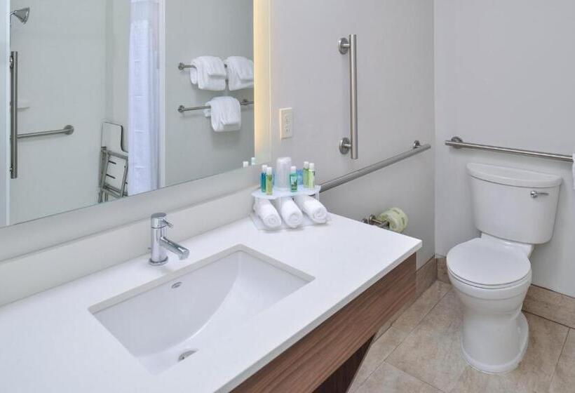 장애인을 위한 킹사이즈 침대 스탠다드 룸, Holiday Inn Express & Suites   Brighton South   Us 23, An Ihg