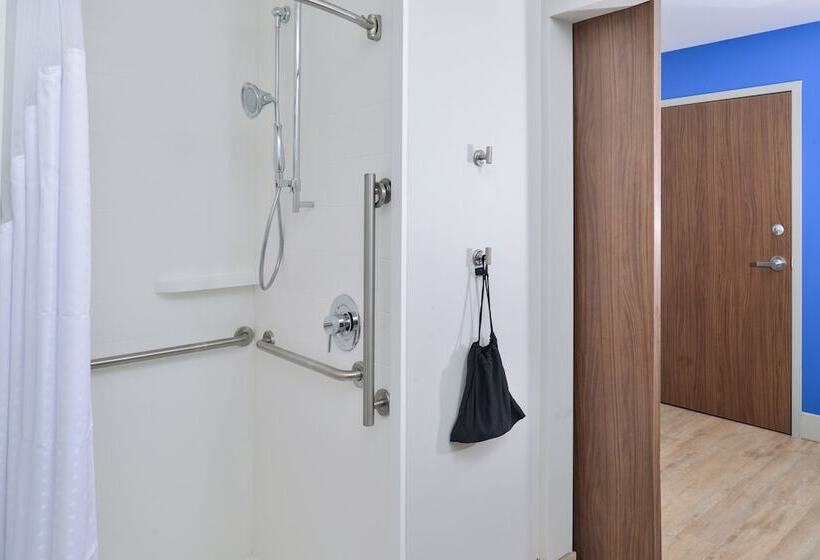 스탠다드 룸, Holiday Inn Express & Suites   Brighton South   Us 23, An Ihg