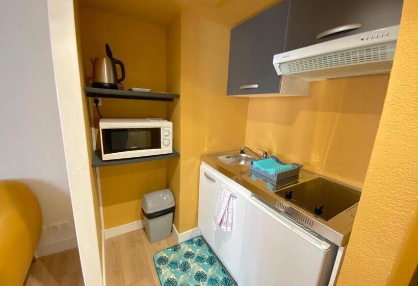 חדר סטודיו סטנדרד, Hôtel & Appart Hôtel Olatua