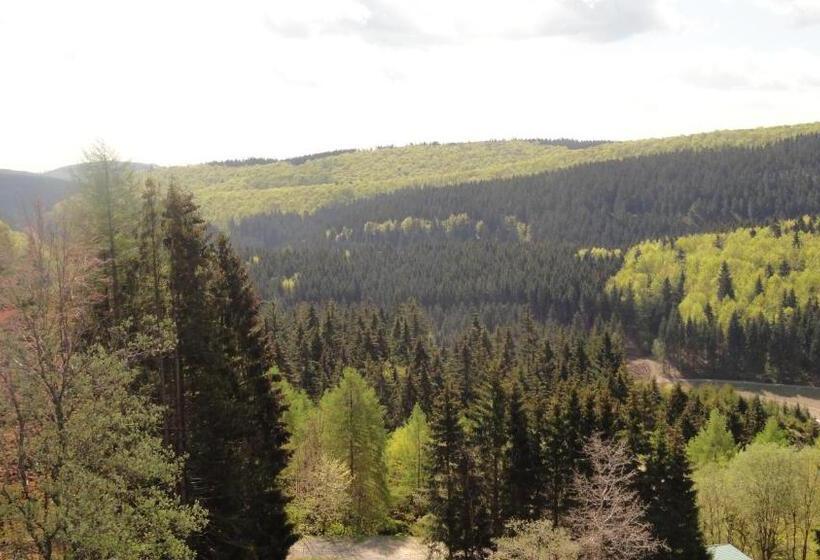 Люкс Вид на Горы, Landhotel Fernsicht