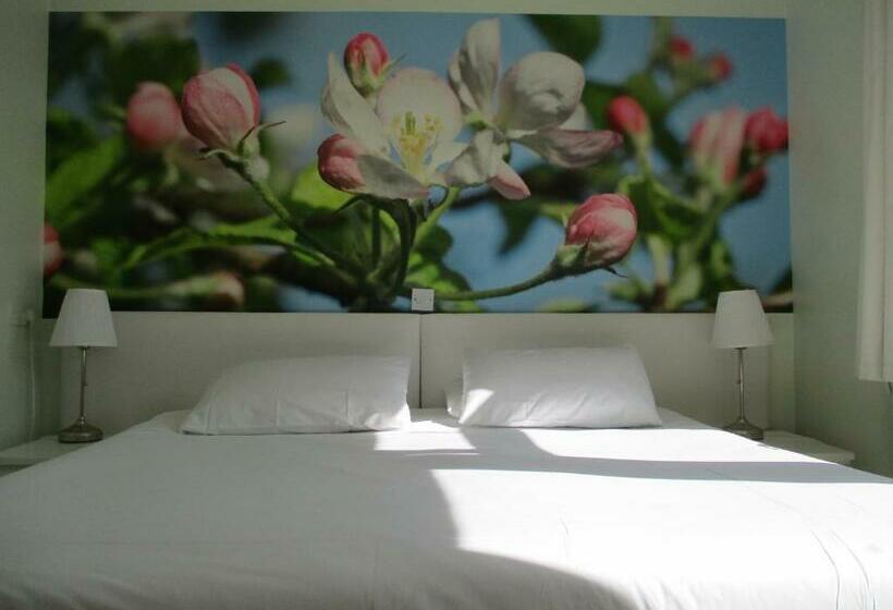 스탠다드 룸, Hillview Bed And Breakfast